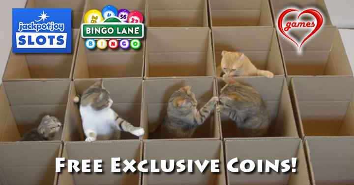 cats-in-a-box