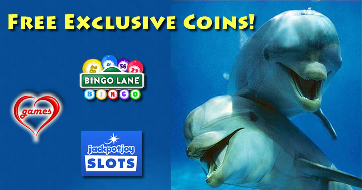 dolphins