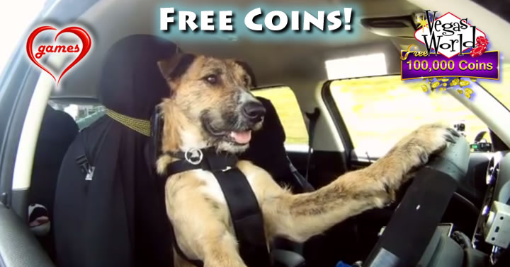 driving-dog