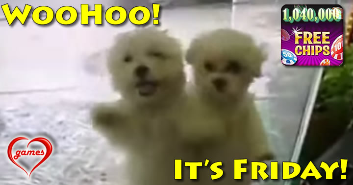 friday-dancing-poodles
