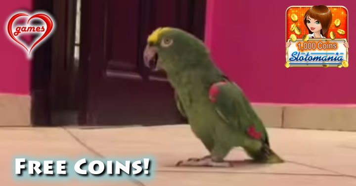 parrot-slotomania