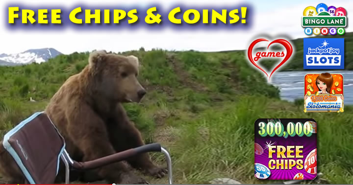 bear-camp