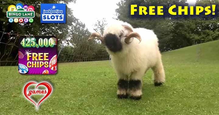 cartoon-sheep2