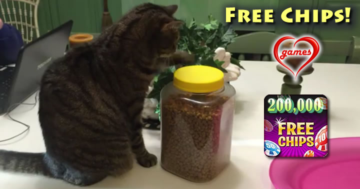 cat-opens-jar