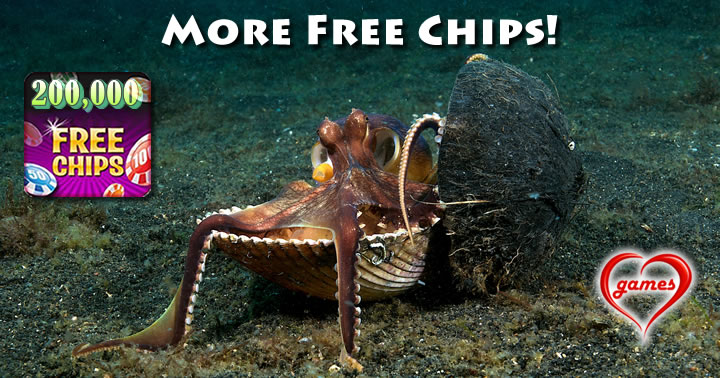 coconut-octupus-DD