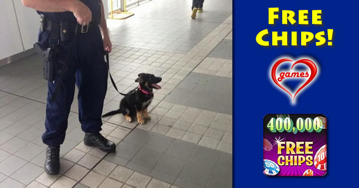 cute-police-puppy