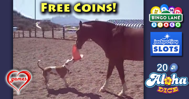 dog-horse