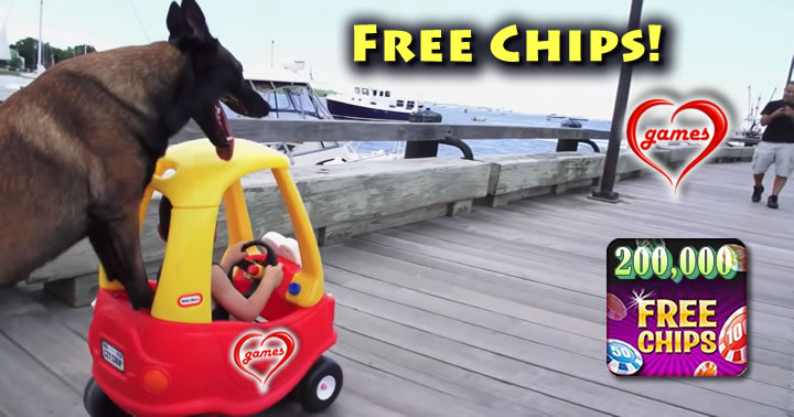dog-pushing-car