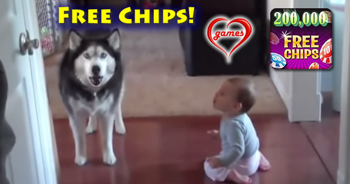 husky-baby-talk