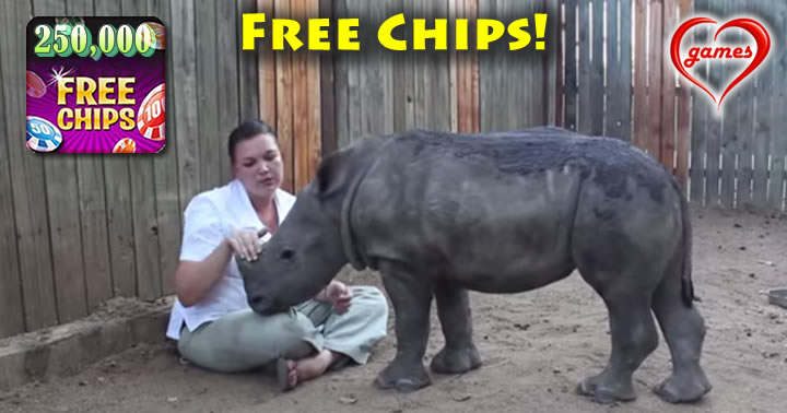 rhino-baby
