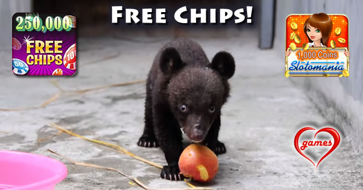 baby-bear