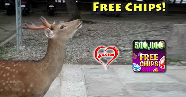deer-sounds