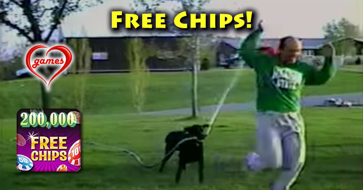 dog-hose