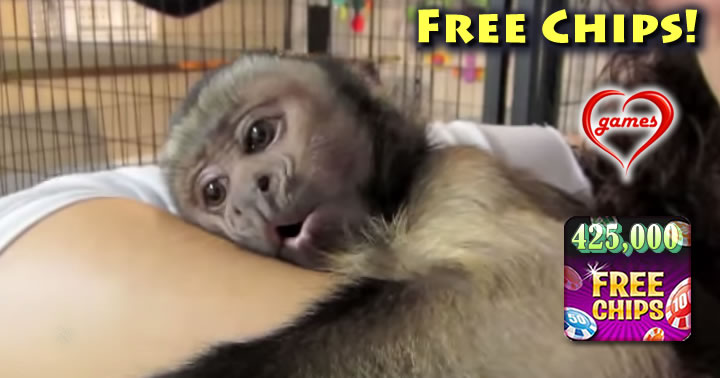 happy-monkey