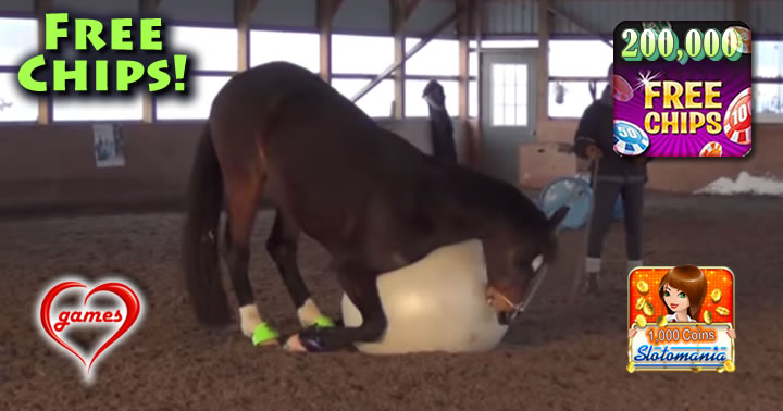 horse-ball
