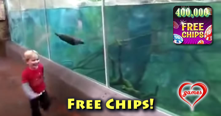 kid-otter