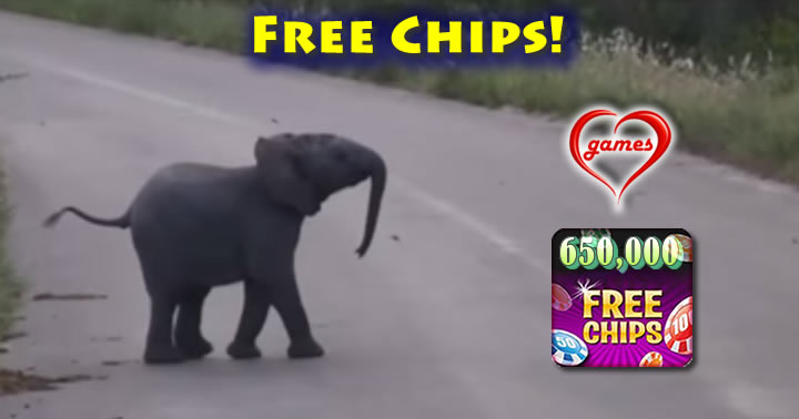 baby-elephant-birds