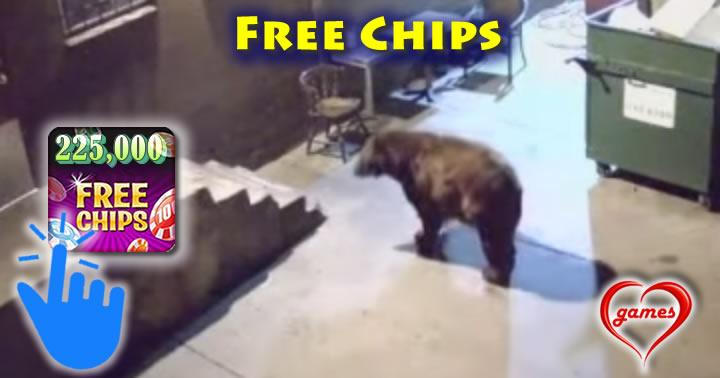 bear-garbage