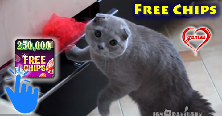 cat-burglar