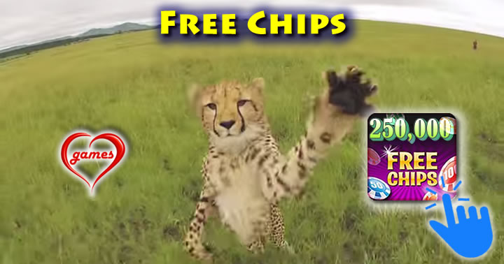cheatah