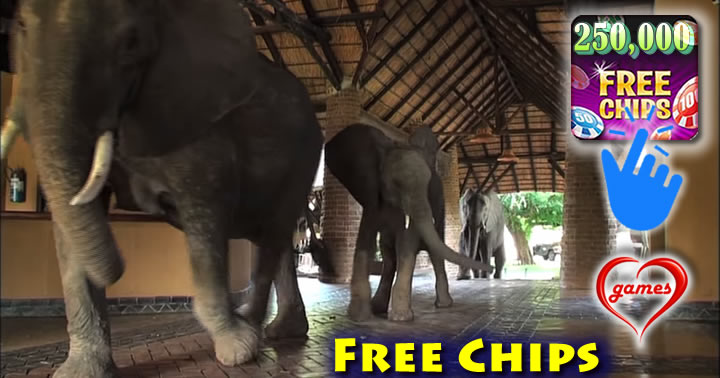 elephant-hotel