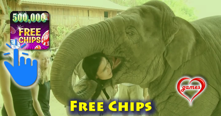elephant1