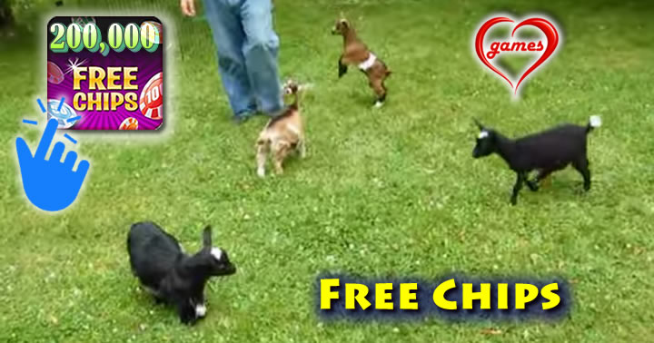 goat-play