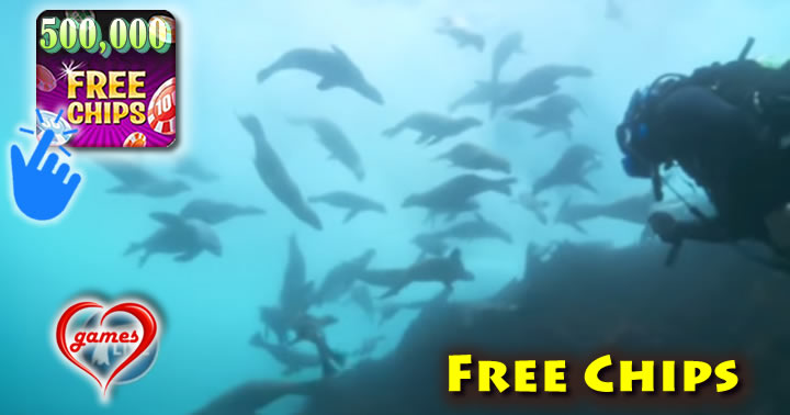 seals-scuba-500