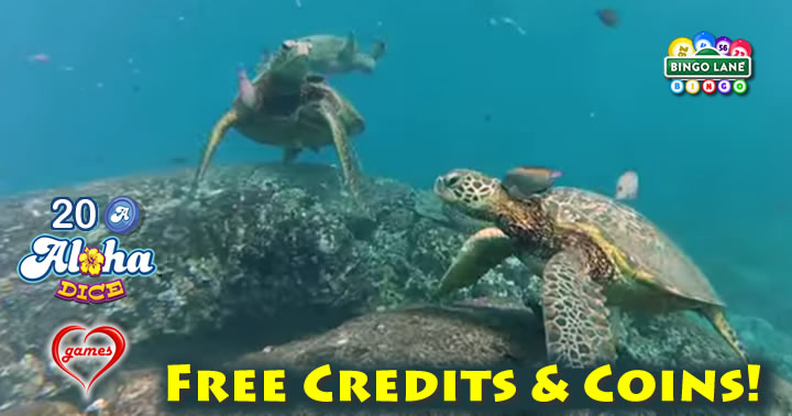 turtle-snorkling