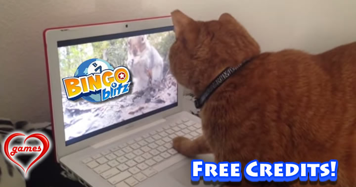 cat-laptop-squirrel