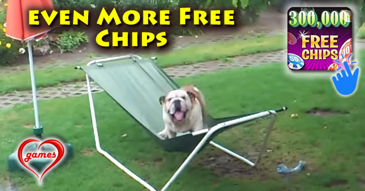 crazy-bulldog