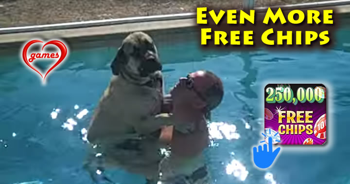 dog-swim-afraid