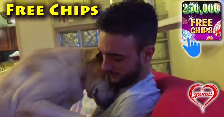 forgive-me-dog