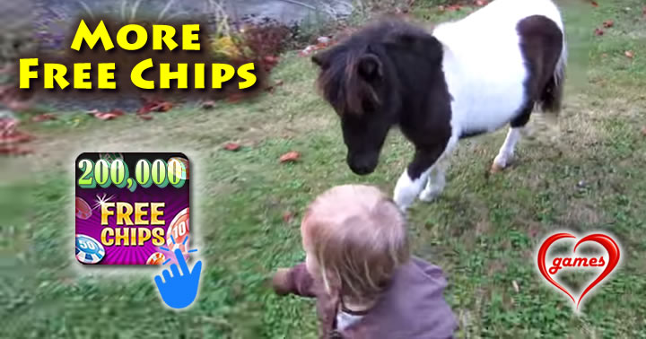 mini-horsei