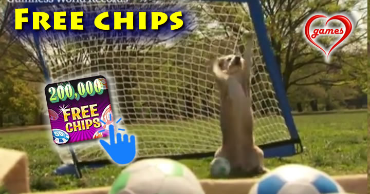 puppygoalie