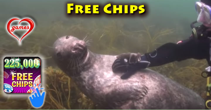 seal-rub