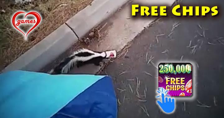 skunk-rescue