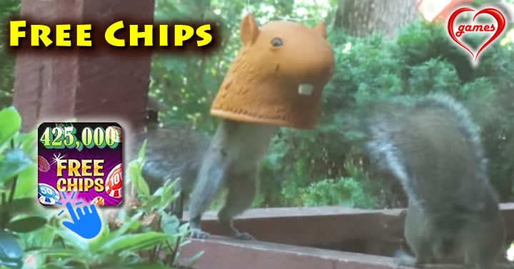big-head-squirrel