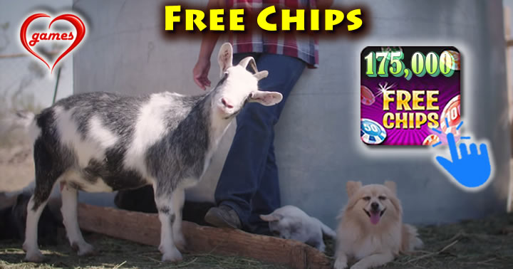 blind-goat