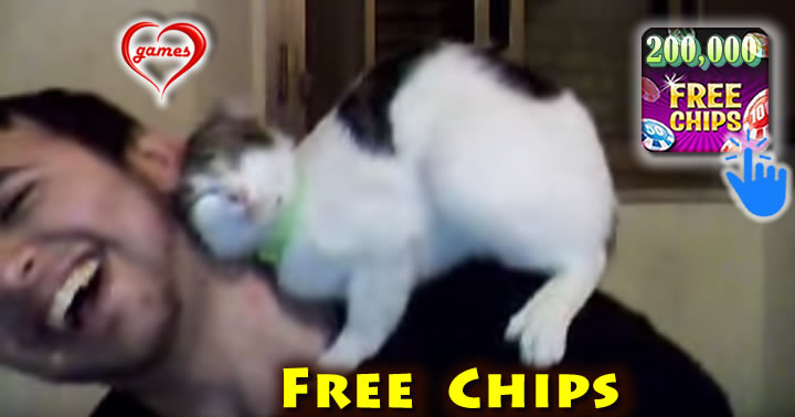 cat-loves-me