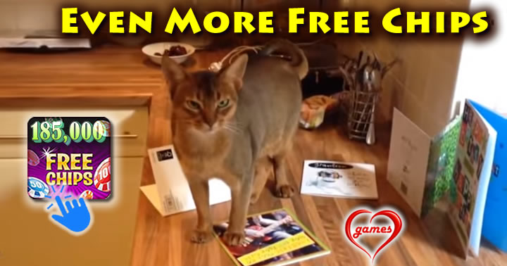 cats-hate-birthdays