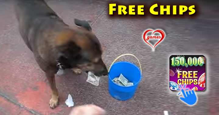dog-tricks
