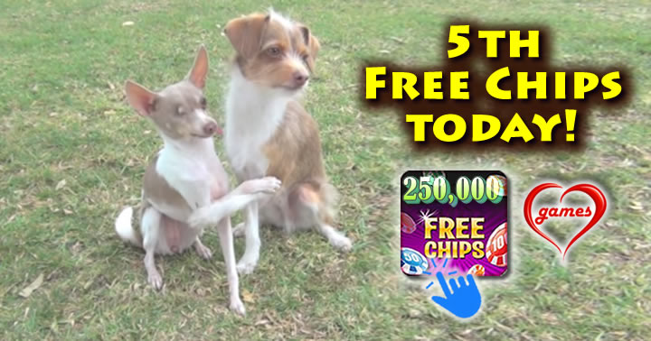 double-dog-tricks