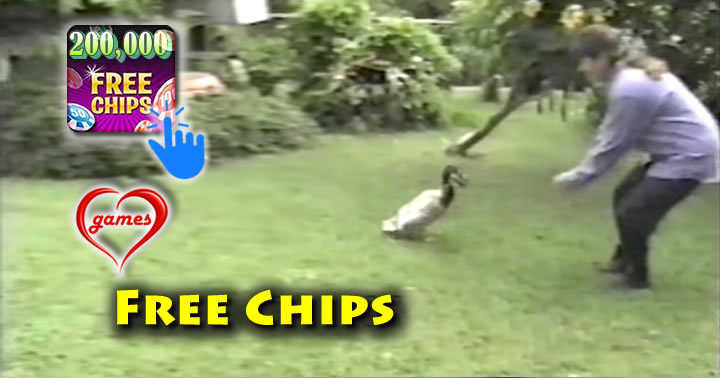 duck-slipper
