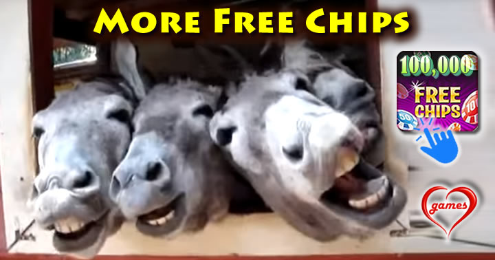 four-donkies