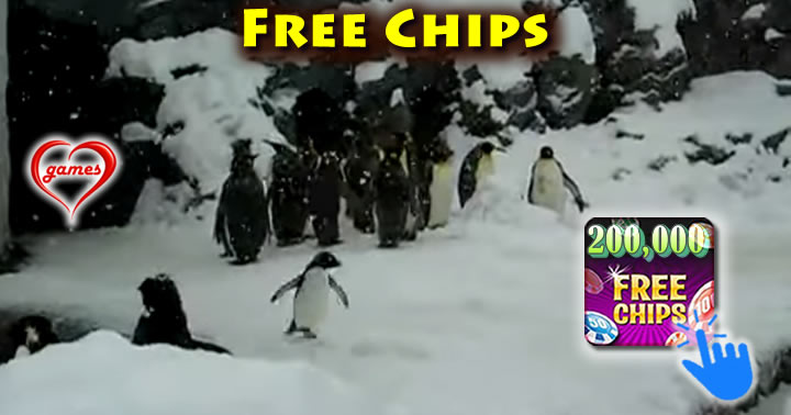 happiest-penguin