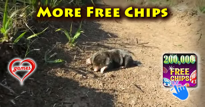 mole-walk