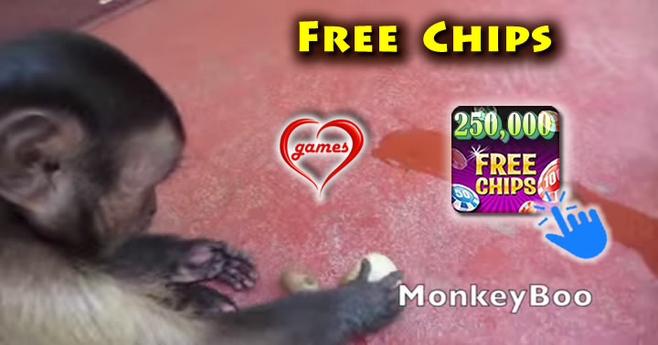 monkey-pecan