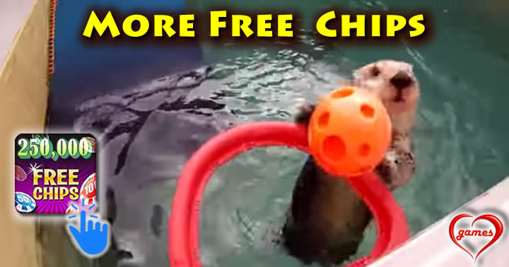 otter-basketball
