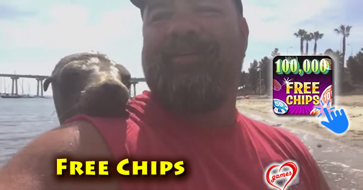 seal-pal